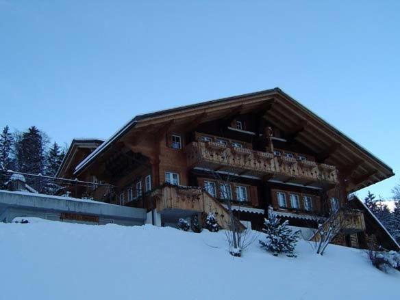 Chalet Spinne Grindelwald Kültér fotó